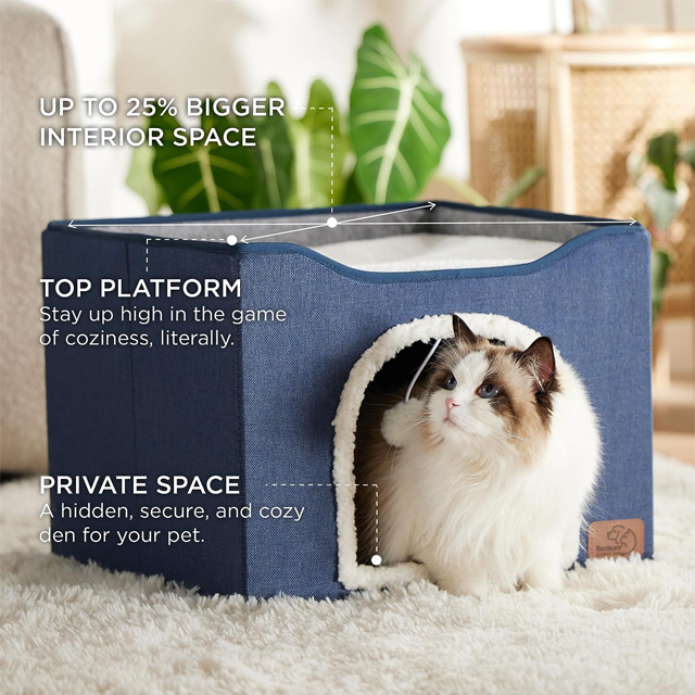 Cat House