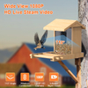 Bird Feeder