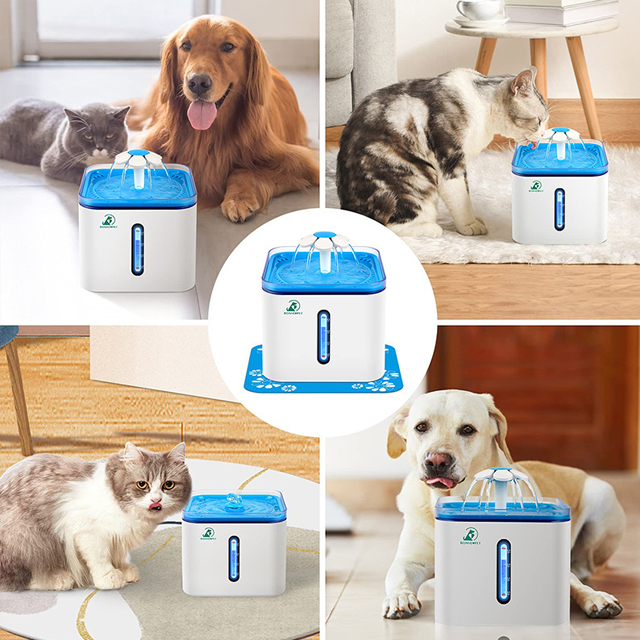 Pet Waterer