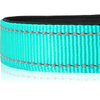 Dog Collars