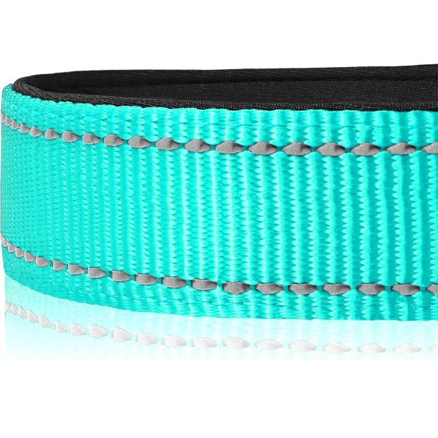 Dog Collars
