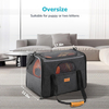 Portable Pet Carrier for Medium-sized Pets