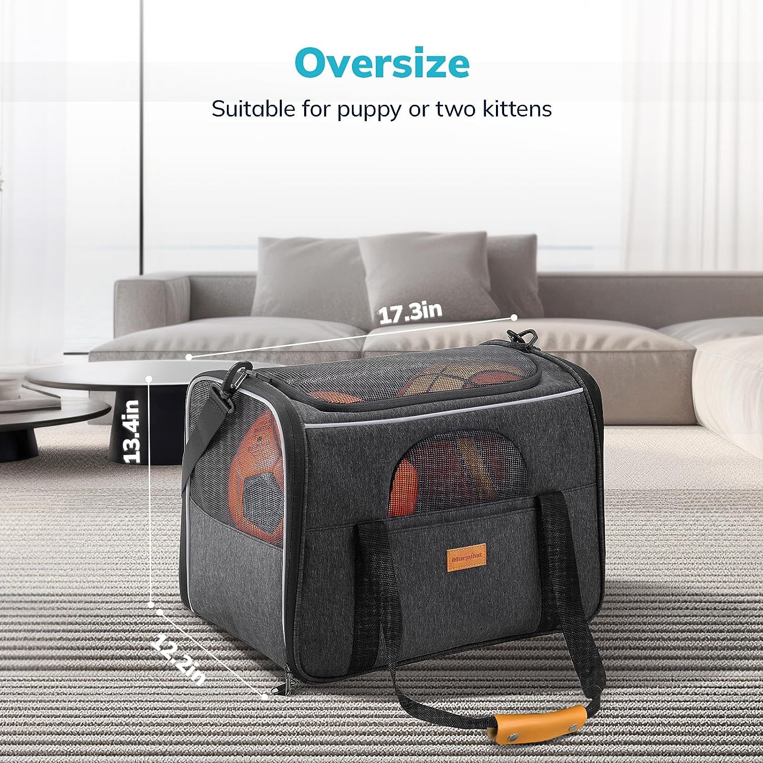Portable Pet Carrier for Medium-sized Pets