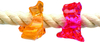 Bird Wooden Fence Toy