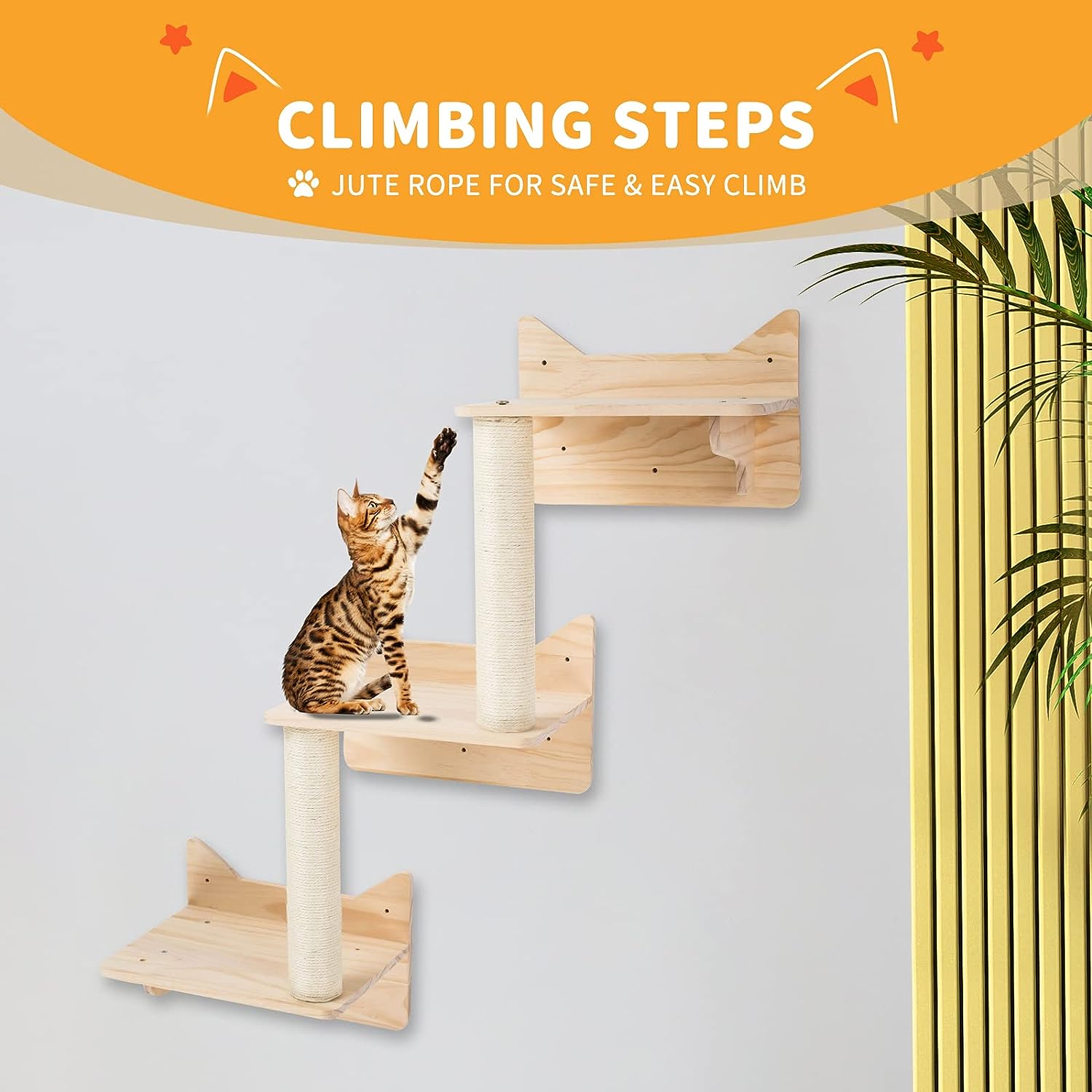 Pine Cat Wall Frame for Climbing