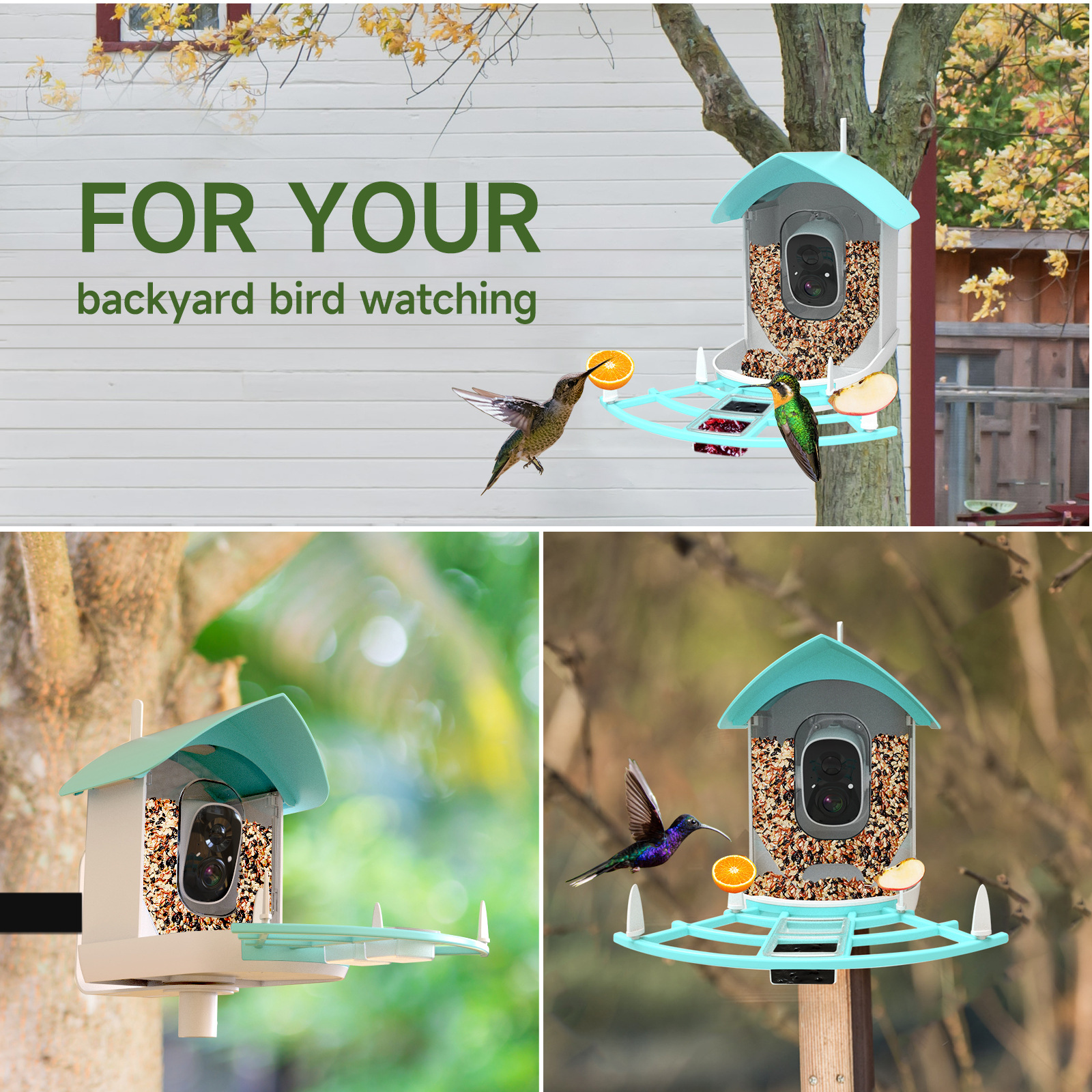 Smart Bird Feeder with 1080P HD Camera
