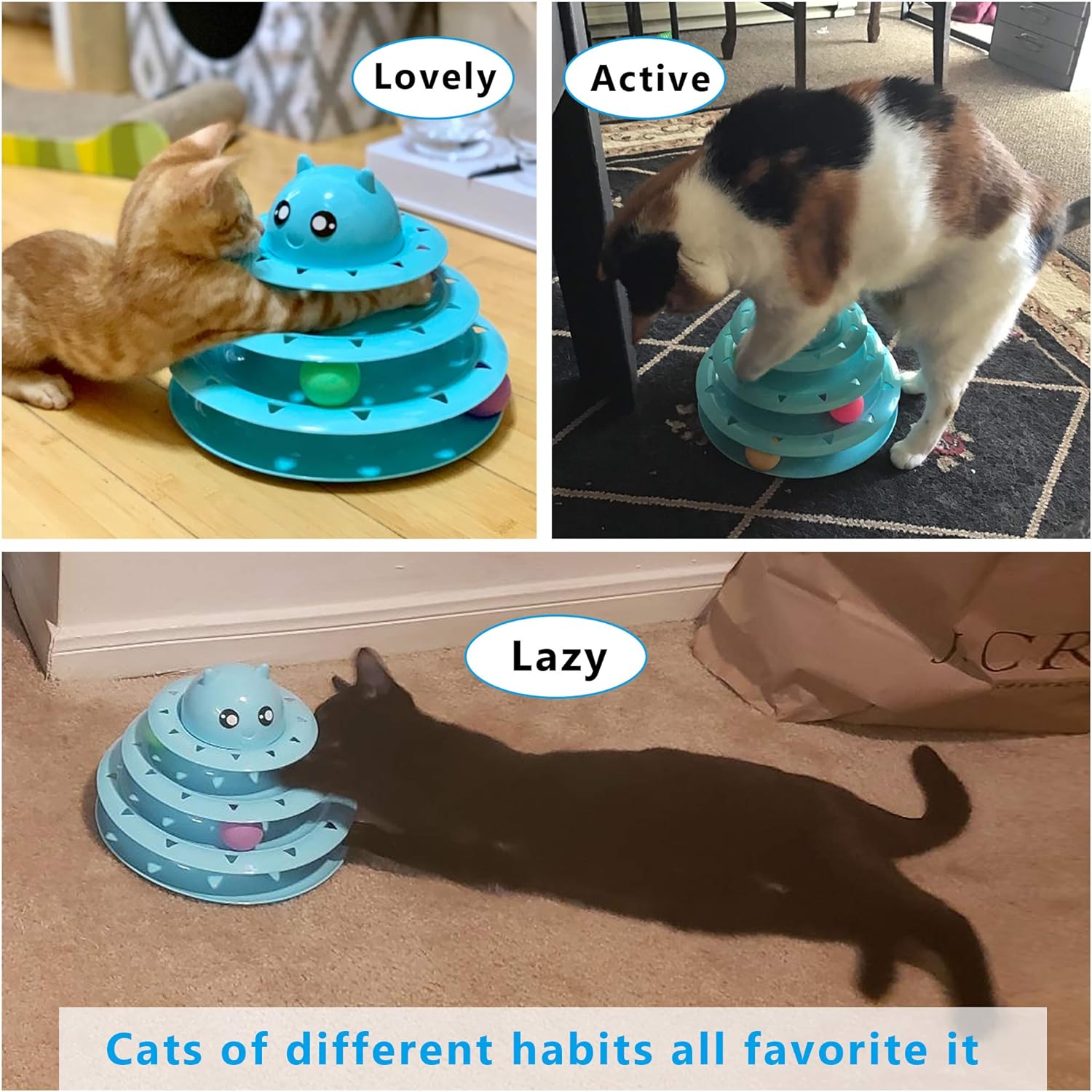 Level 3 Spinner Cat Toy Ball