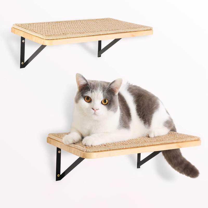 DIY Cat Wall Shelves with Scratching Mat