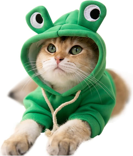 Cute Frog Cosplay Pet Hoodie
