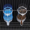 Transparent Water Fountain for Pet Birds