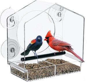 Outdoor Transparent Window Bird Feeder