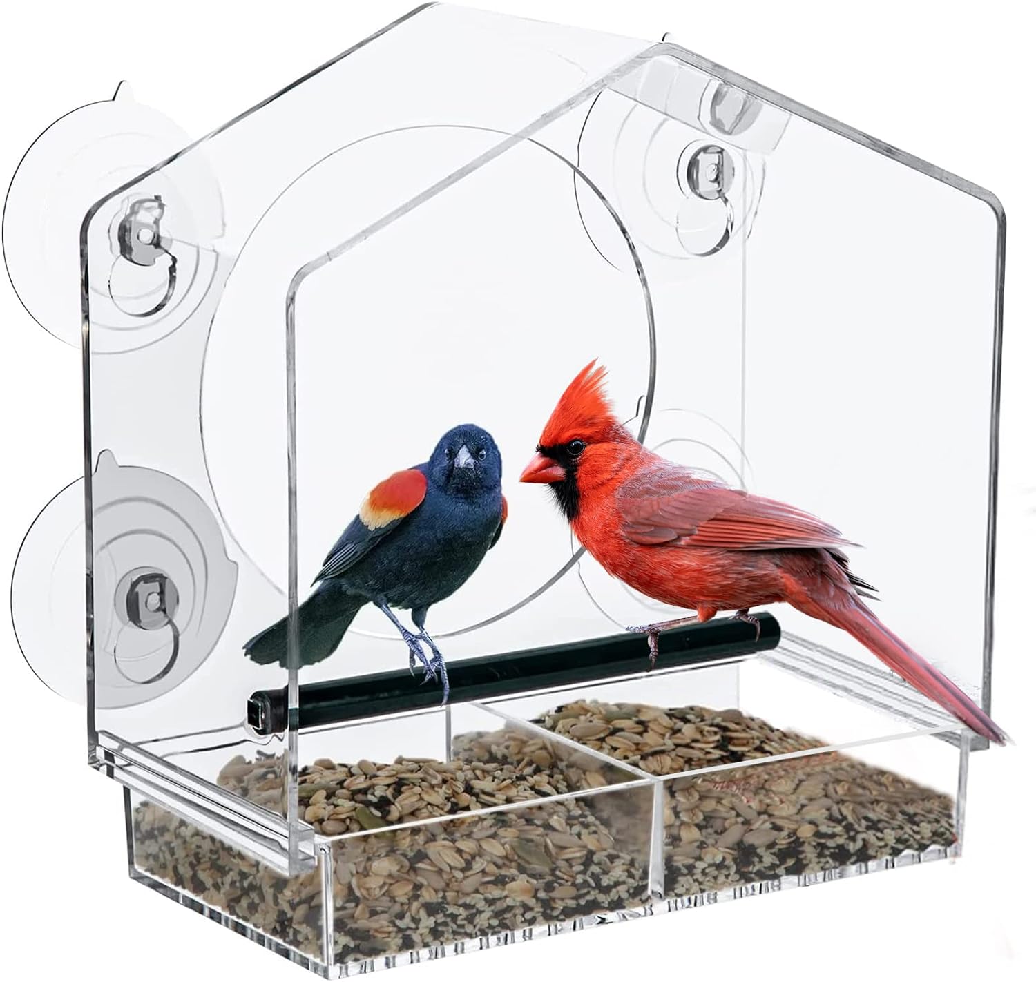Outdoor Transparent Window Bird Feeder