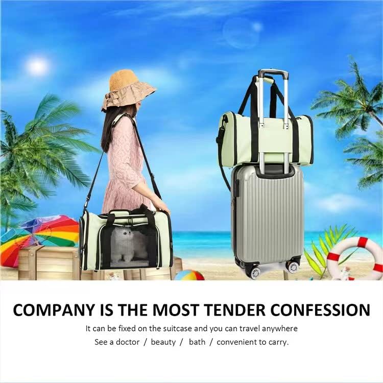 Foldable Soft-sided Pet Travel Bag