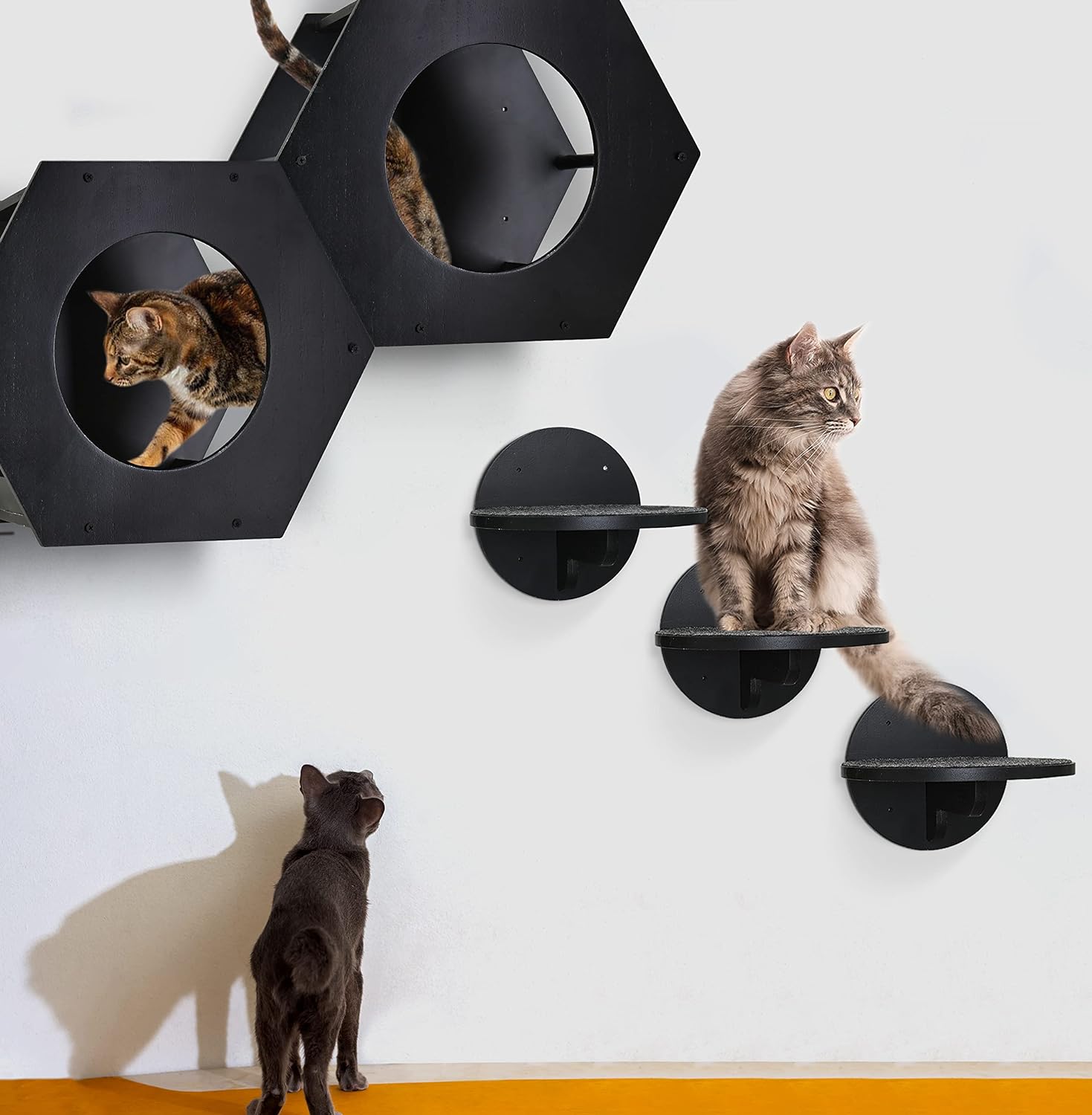 Modern Cat Wall Furniture with Steps And Scratching Pad