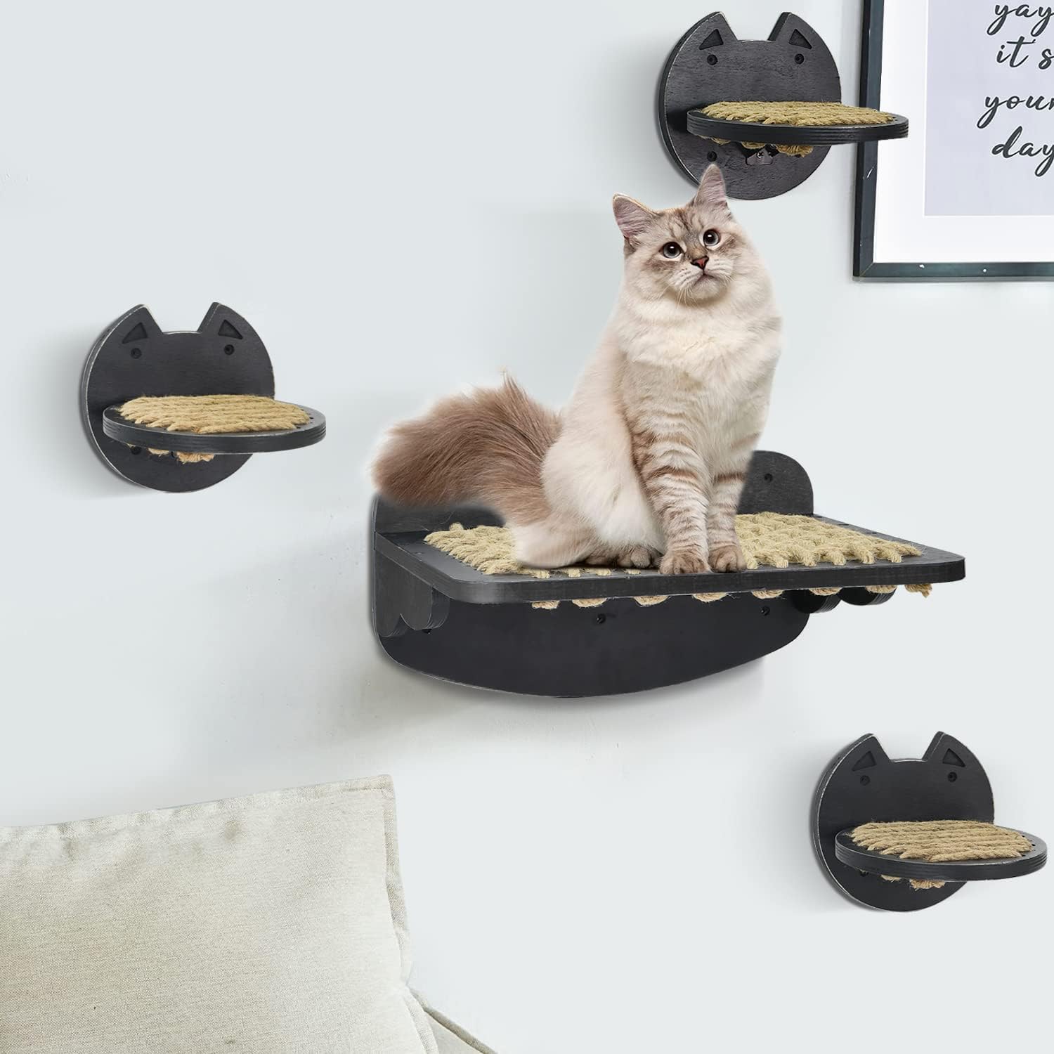 Modern Cat Wall Shelves with Sisal Cat Hammock