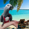 Pet Bird Tuxedo Flight Suit for Special Occasions And Daily Wear