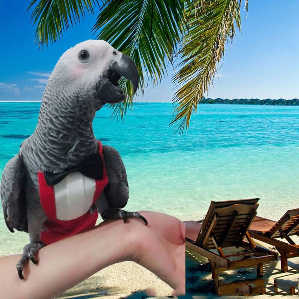 Pet Bird Tuxedo Flight Suit for Special Occasions And Daily Wear