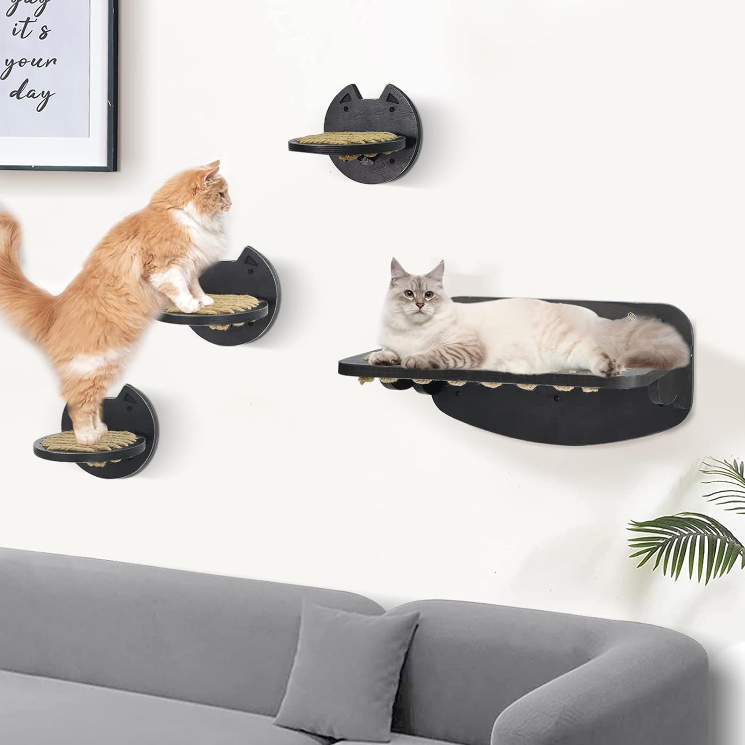 Modern Cat Wall Shelves with Sisal Cat Hammock