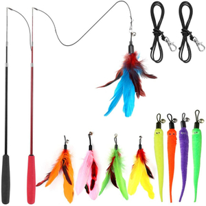 Interactive Colorful Cat Toys