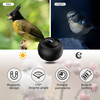 Outdoor Smart Hanging Bird Feeder with Camera