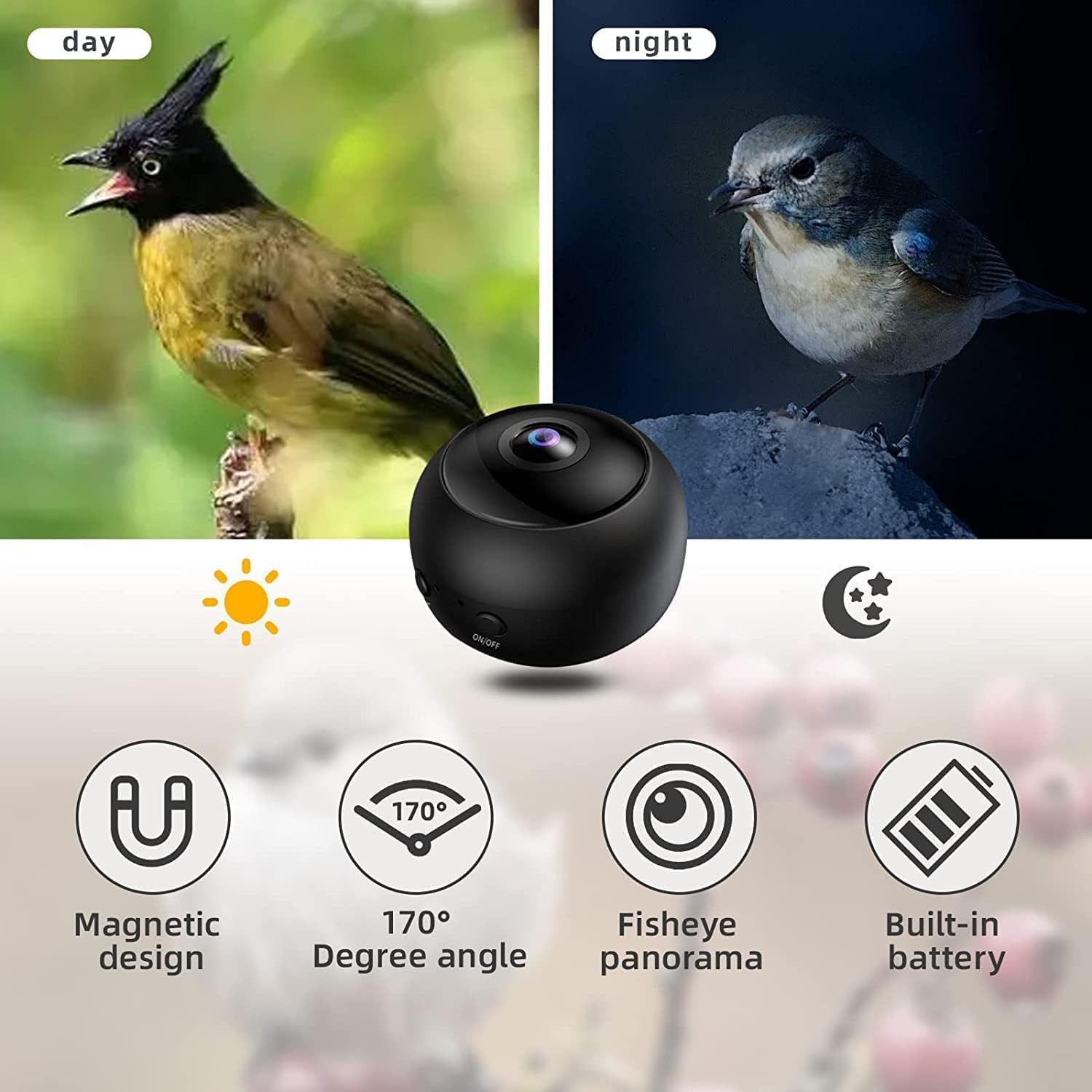 Outdoor Smart Hanging Bird Feeder with Camera