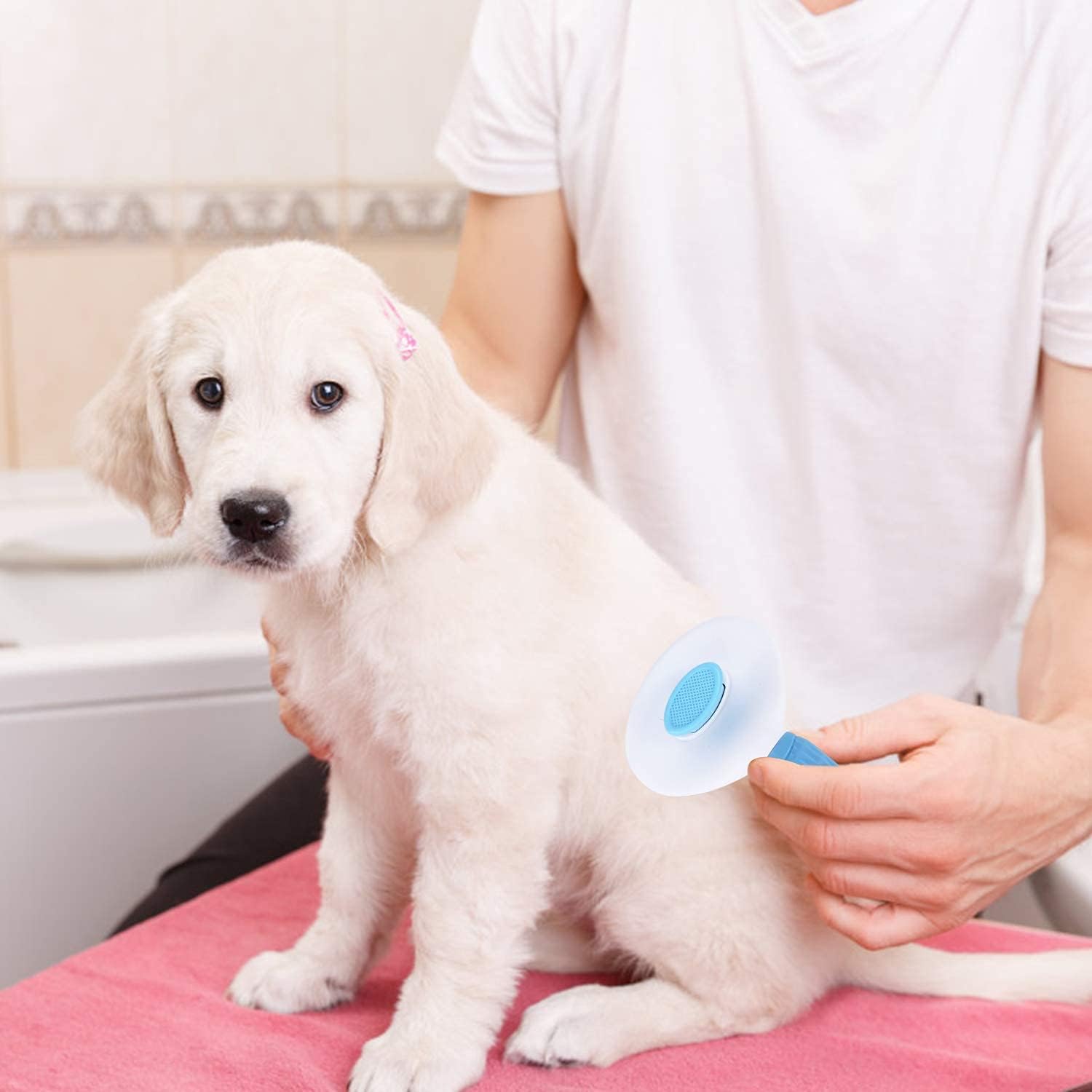 Cat Grooming Self-cleaning Hair Removal Brush