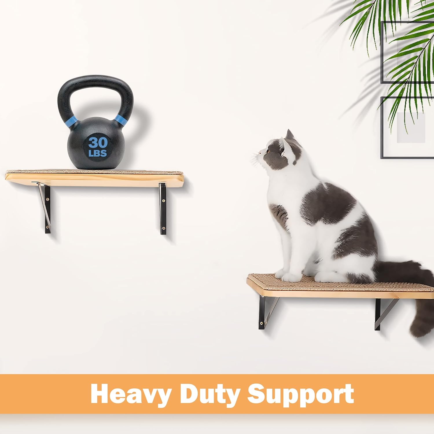 DIY Cat Wall Shelves with Scratching Mat