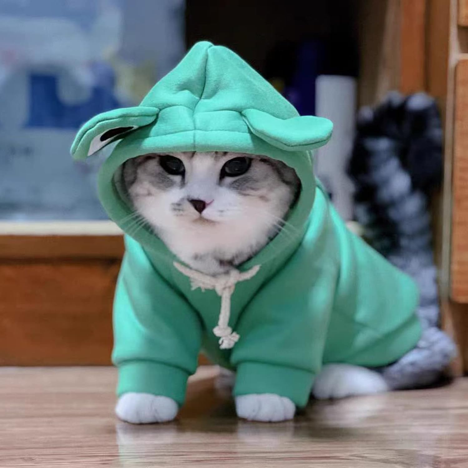 Cute Frog Cosplay Pet Hoodie