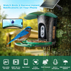 Advanced Solar-Powered Bird Feeder Camera with AI Bird Recognition and 1080P HD Night Vision