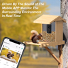 Bird Feeder