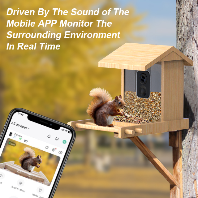 Bird Feeder
