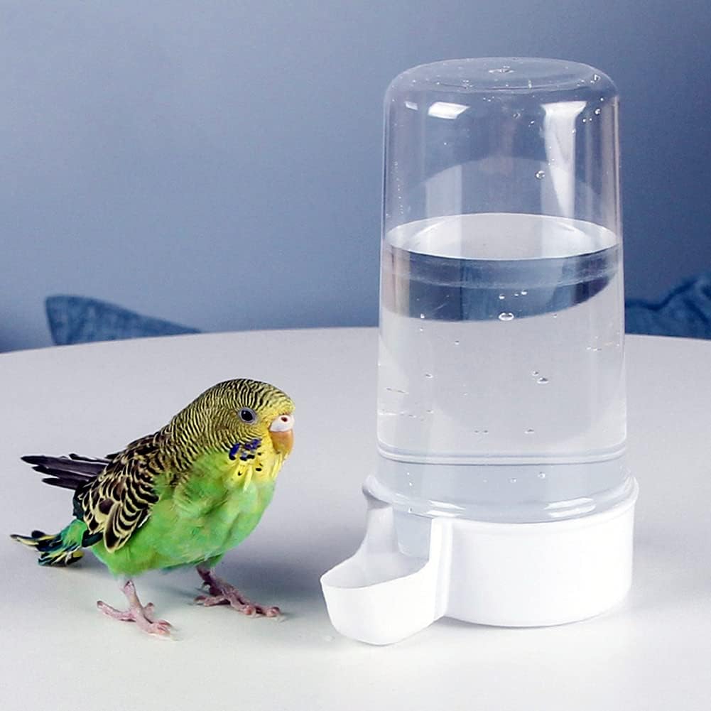 Transparent Water Fountain for Pet Birds