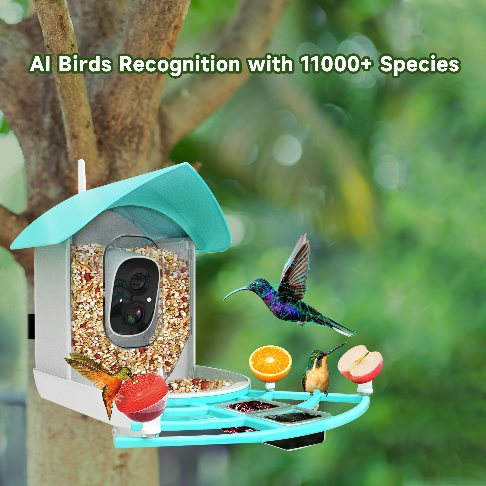 Smart Bird Feeder with 1080P HD Camera