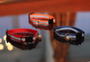 Reflective Cat Collar with Bell