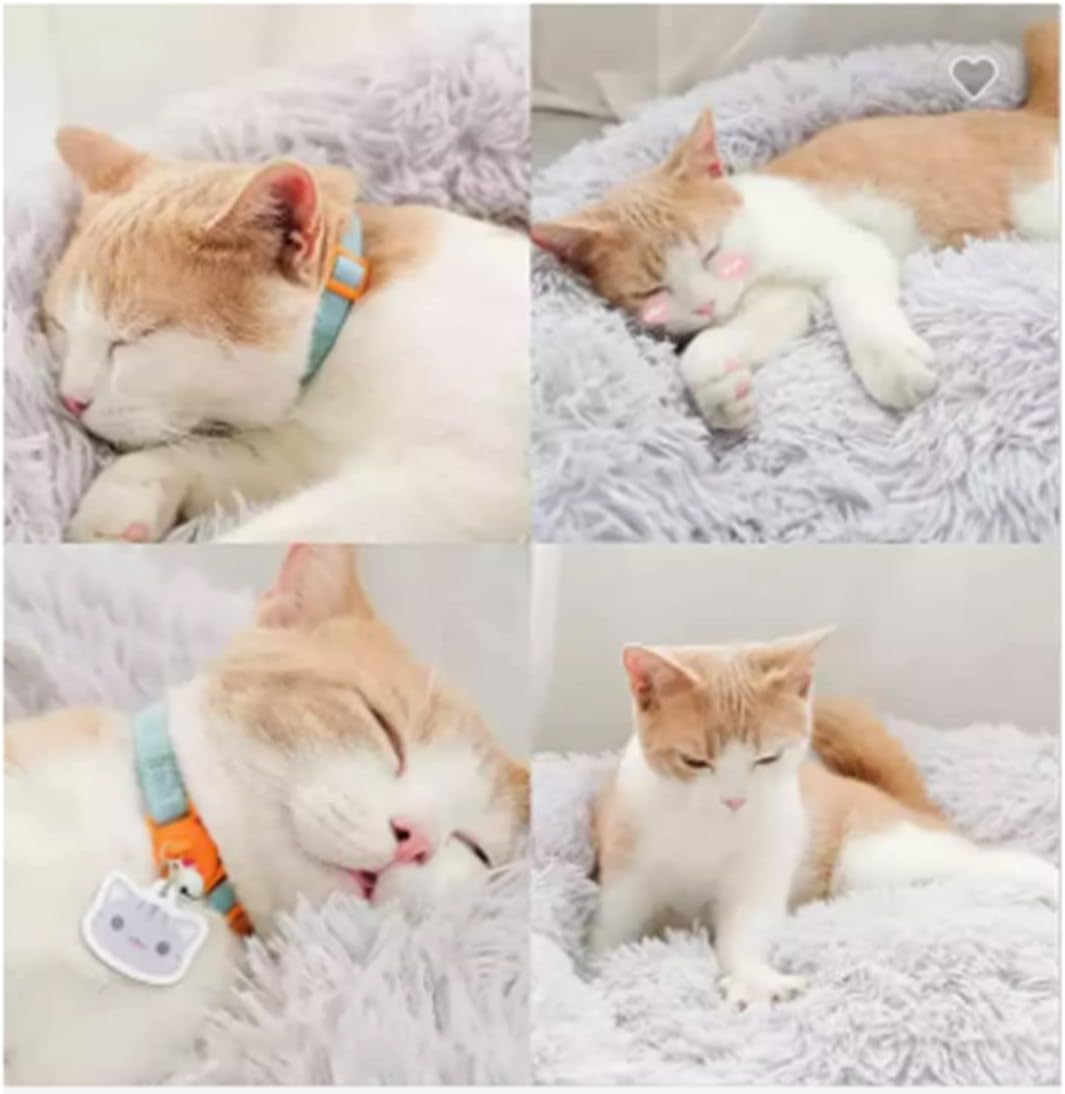 Round Soft Cat Bed for Indoor Use