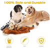 Dog Toys