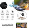 Outdoor Smart Hanging Bird Feeder with Camera