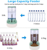 Automatic Dog And Cat Feeders And Waterers