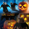 Bat Wings Dress Up Pet Cat Clothes