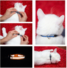 Reflective Cat Collar with Bell