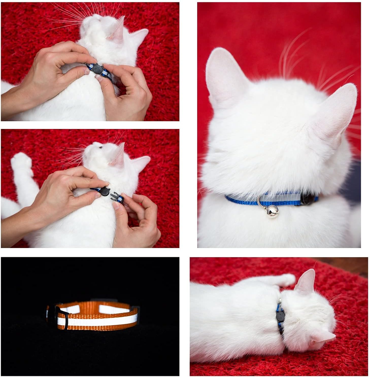 Reflective Cat Collar with Bell