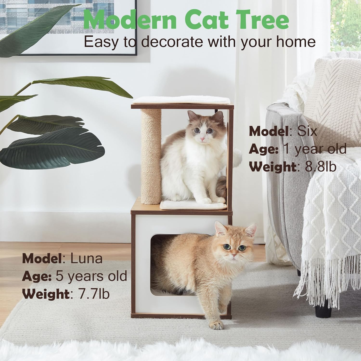 Modern And Sturdy Wood Cat Tree for Large Cats