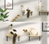 DIY Cat Wall Shelves with Scratching Mat