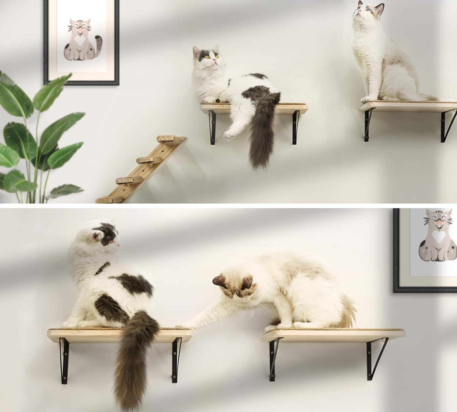DIY Cat Wall Shelves with Scratching Mat