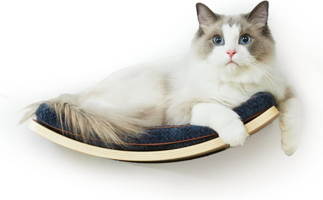 Curved Cat Wall Shelf with Cushion