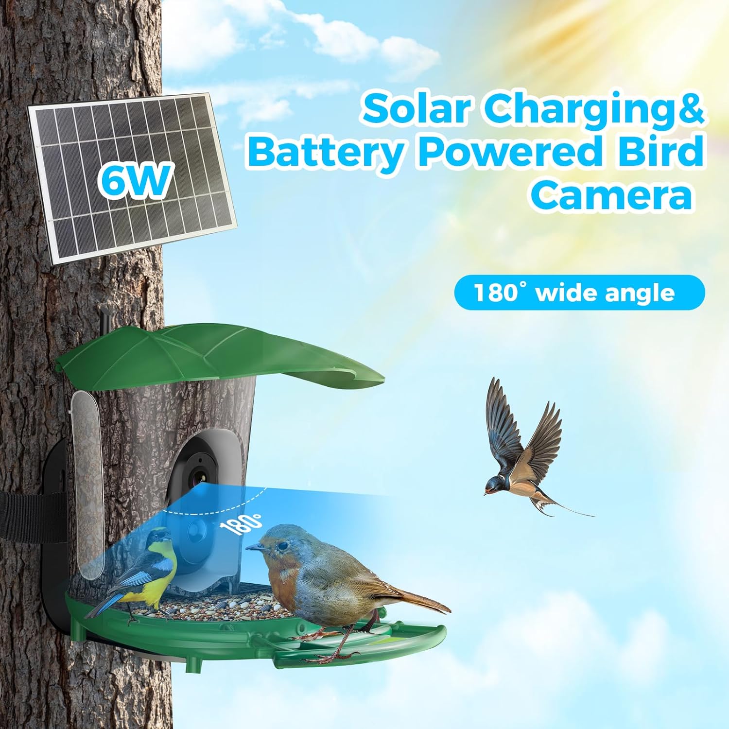 Advanced Solar-Powered Bird Feeder Camera with AI Bird Recognition and 1080P HD Night Vision