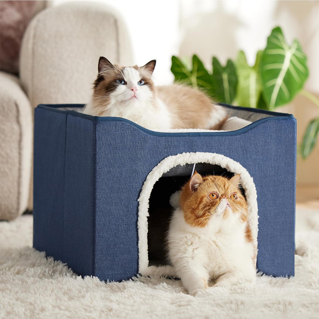 Cat House