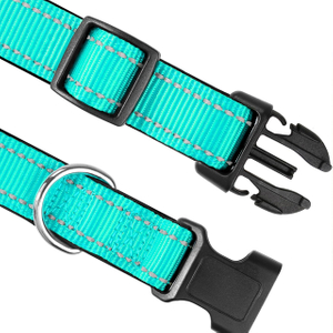 Dog Collars