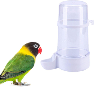 Transparent Water Fountain for Pet Birds