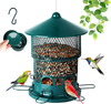 Removable Base Wild Bird Feeder for Outdoors